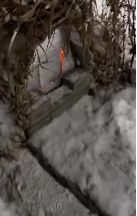 Zimowy domek dla kot&oacute;w