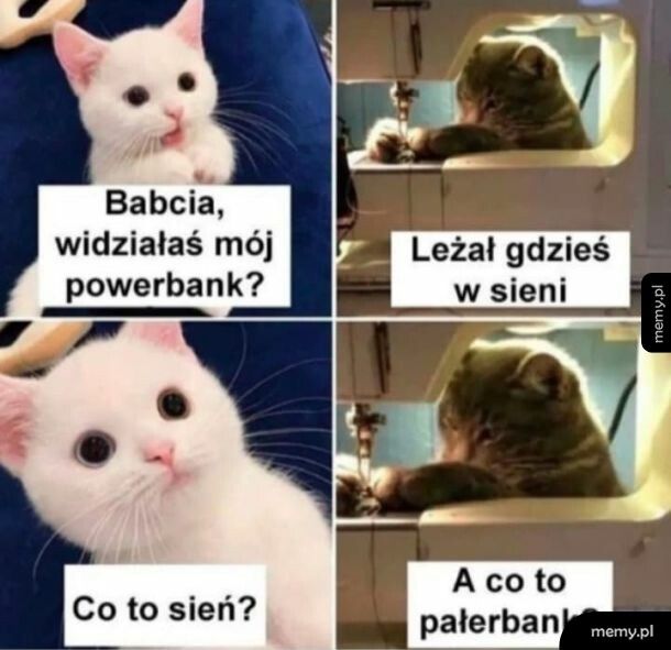Dogadali się