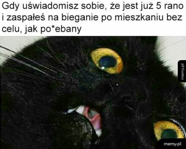 Trzeba to jutro nadrobić