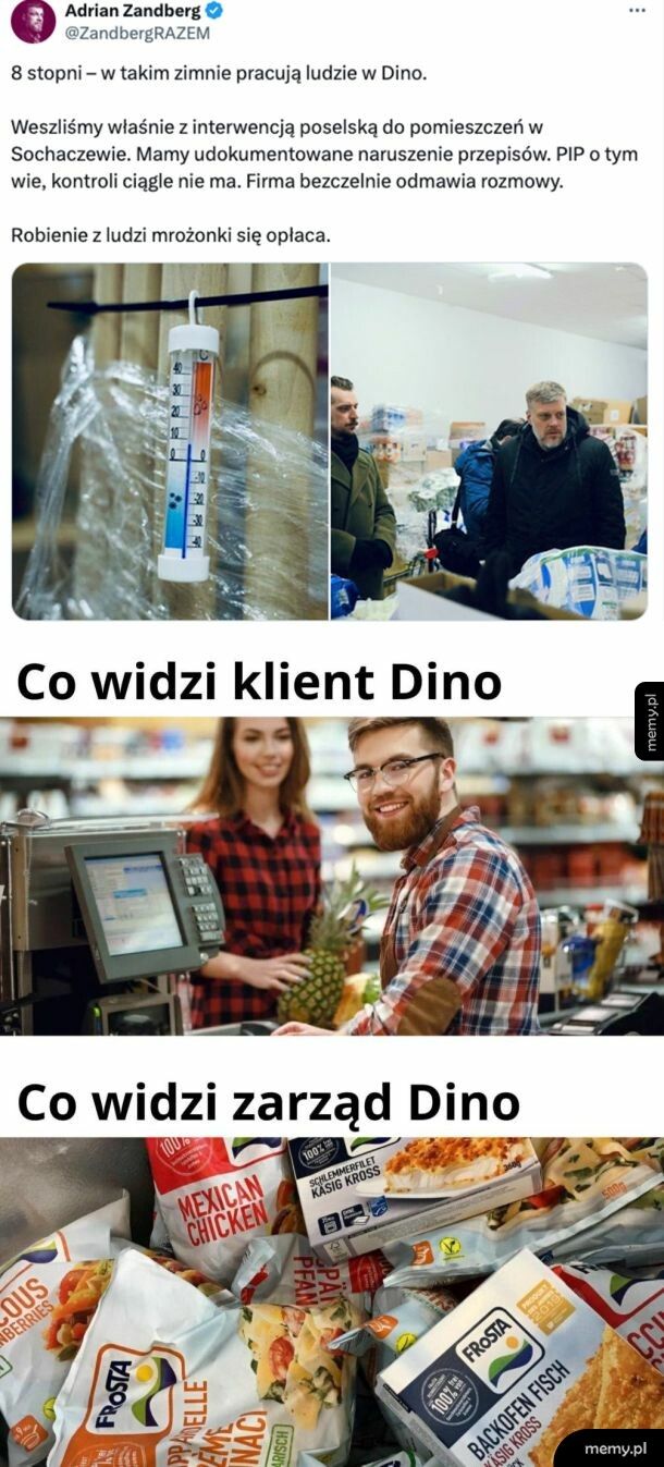 Fajnie w tym Dino