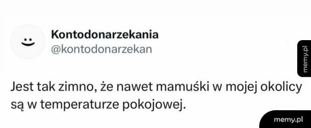 Az tak przymroziło