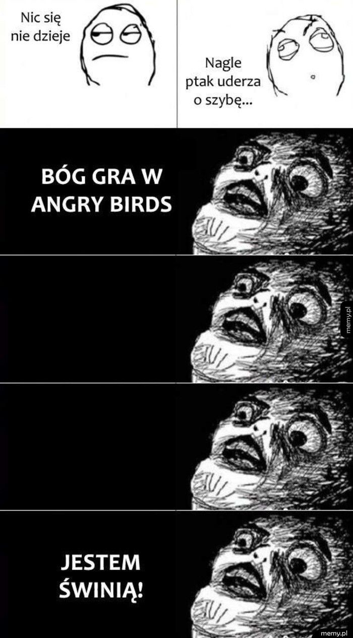 Angry birds