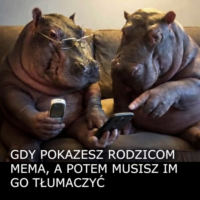 Dej no się przyjrzeć synek