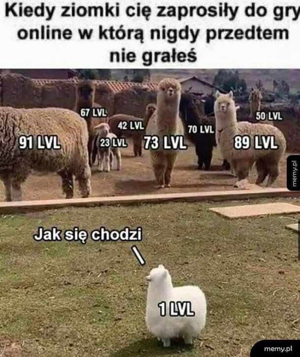 Wsparcie kolegow nieocenione