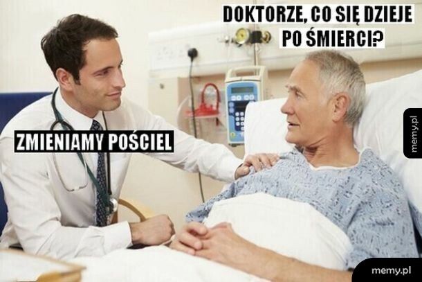 Odpowiedź na odwieczne pytanie ludzkości