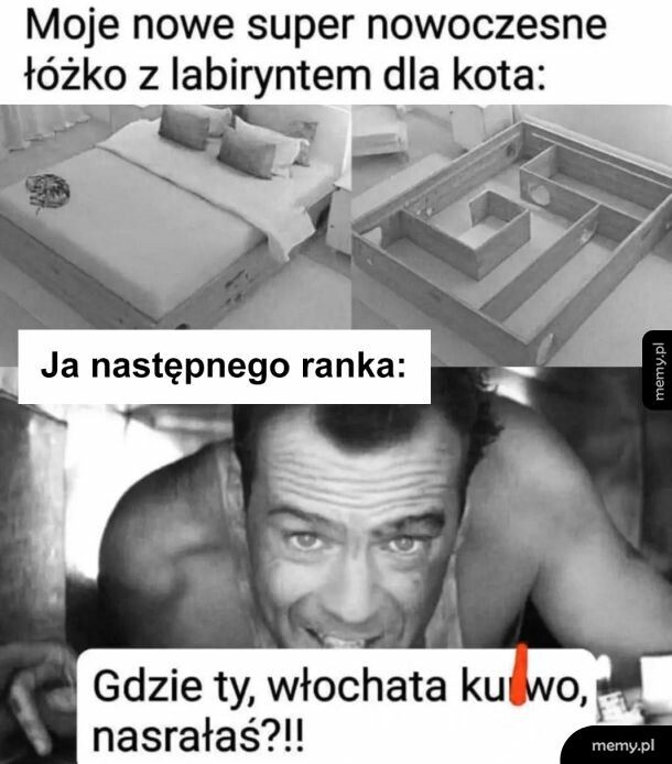 Jeszcze pułapki nastawić