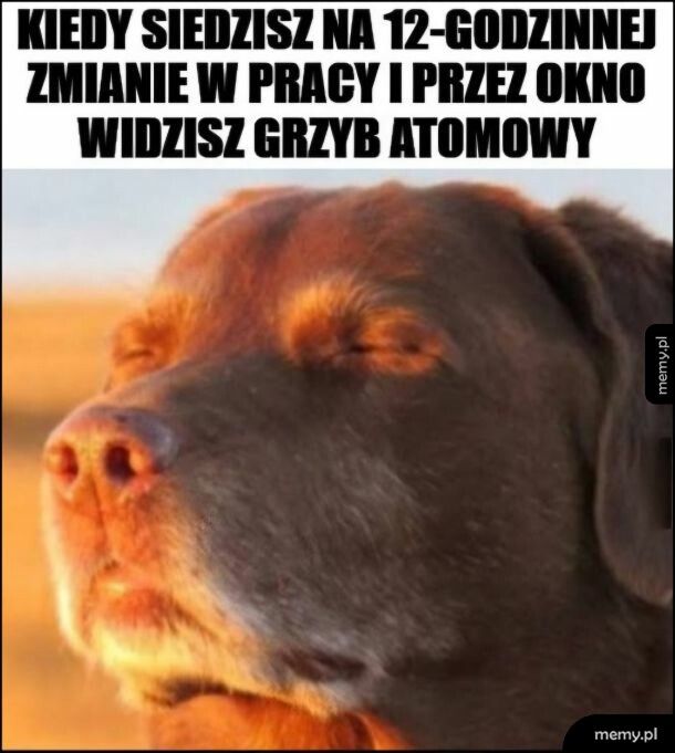Nie ma żart&oacute;w