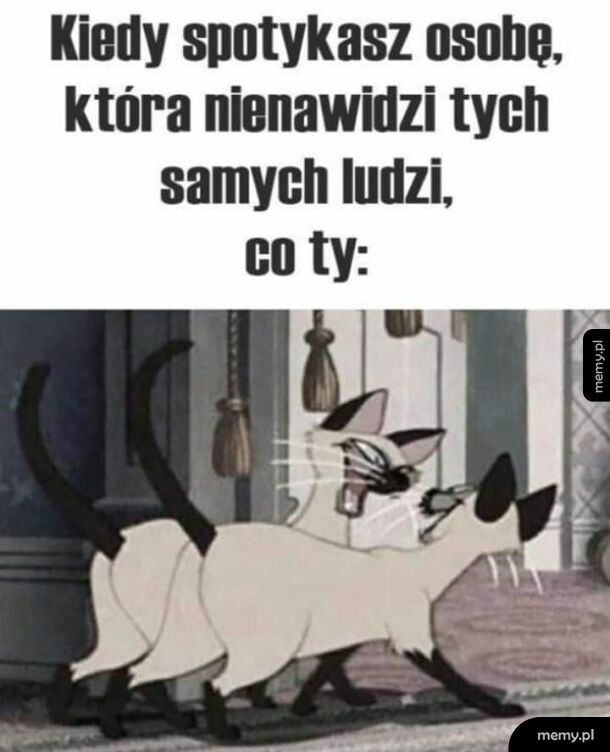 Na tych samych falach