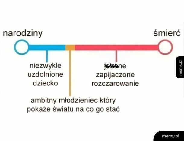 Plan był ambitny