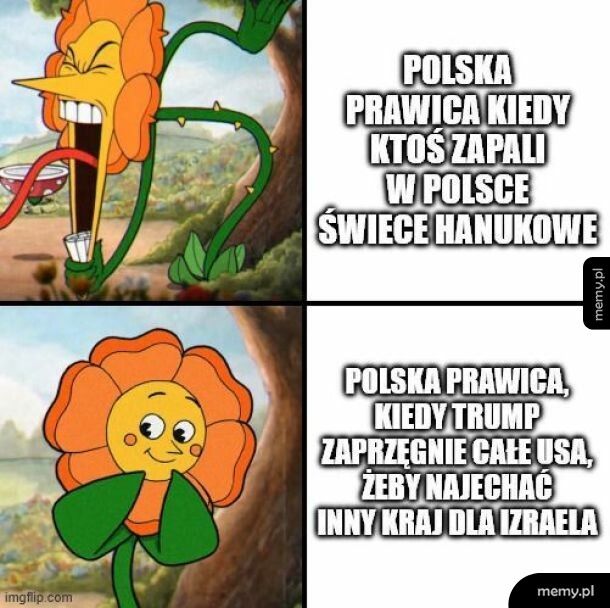 Podw&oacute;jne standardy
