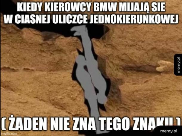 Kierowcy BMW