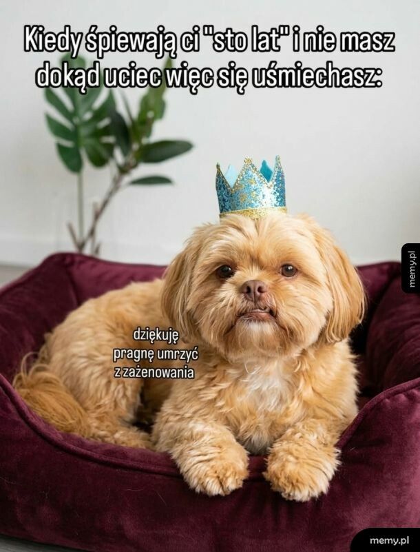 Dobra mina do zlej gry