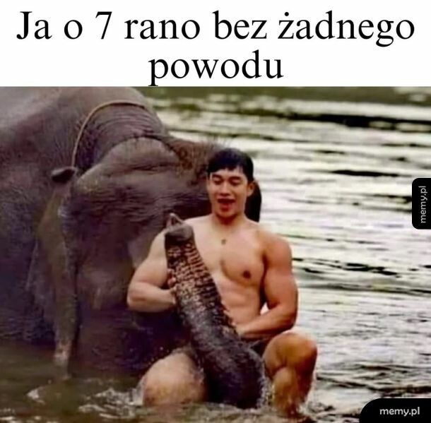 Chłopy zrozumiejo