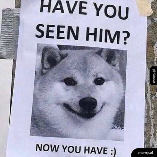 Pamiętacie Pieseła tak swoją drogą?