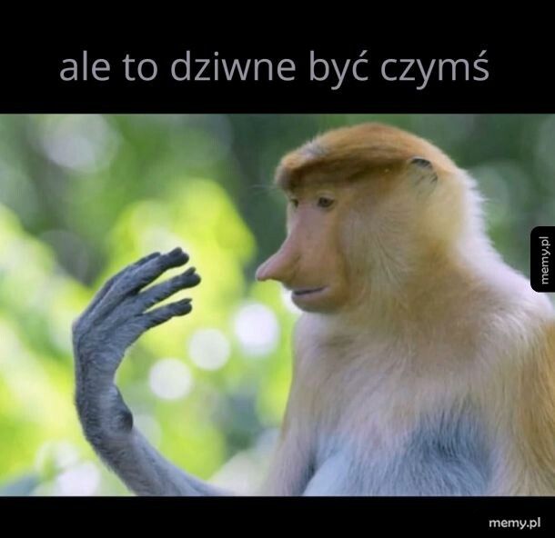 Ten moment autorefleksji