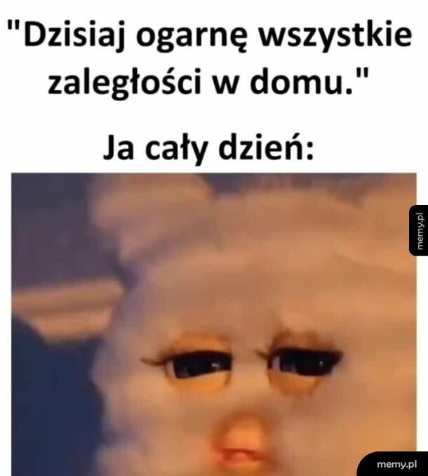 Dziś się uda