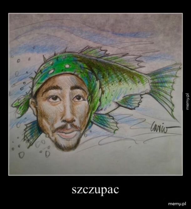 Szcupac