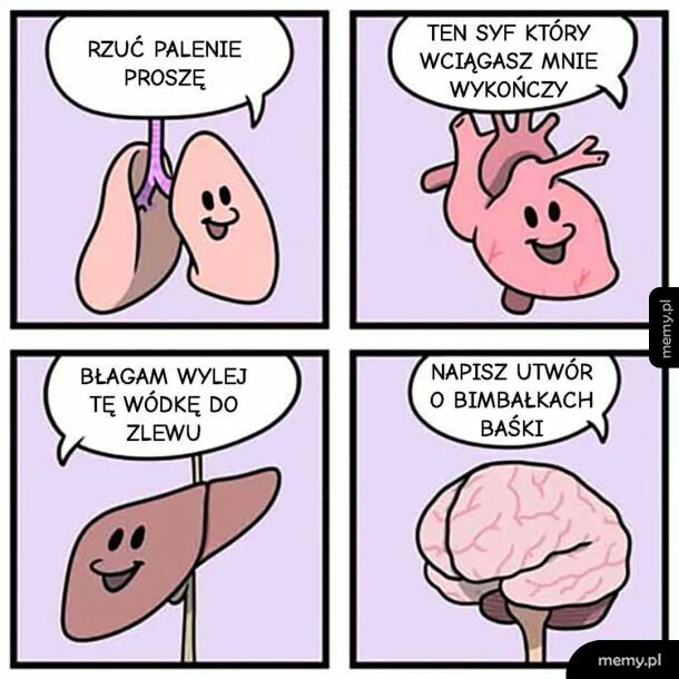 M&oacute;zg Gawlińskiego