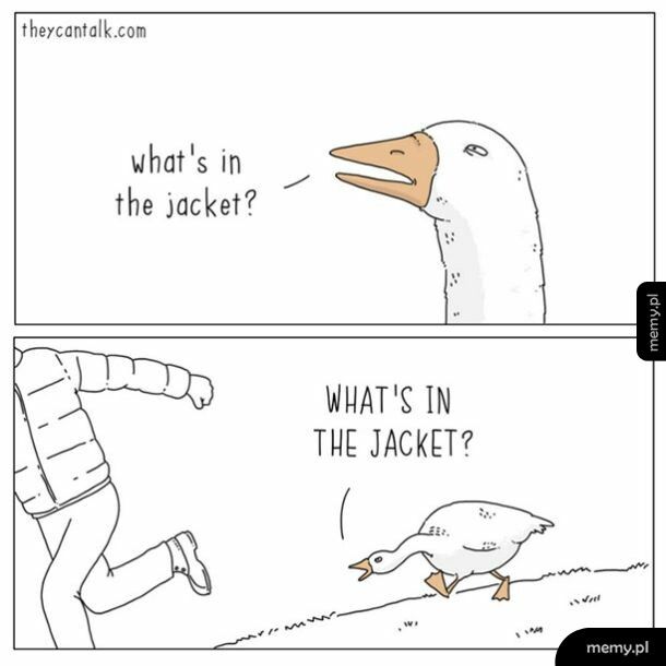 Originalna wersja słynnego mema z gęsią