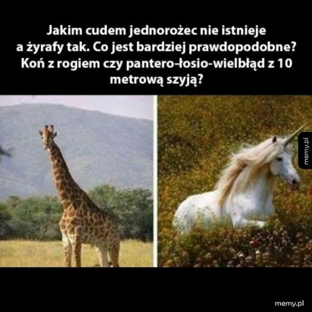 Co jest bardziej prawdopodobne