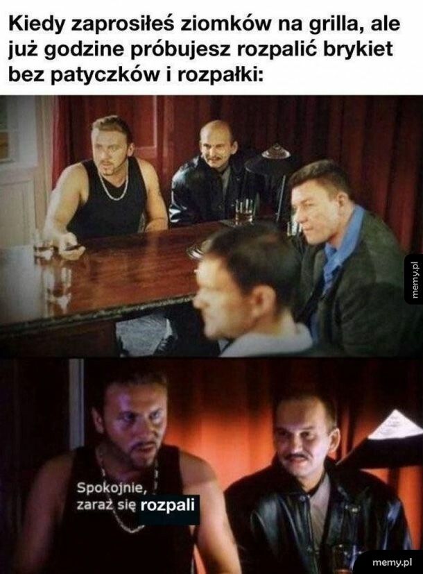 Damy radę