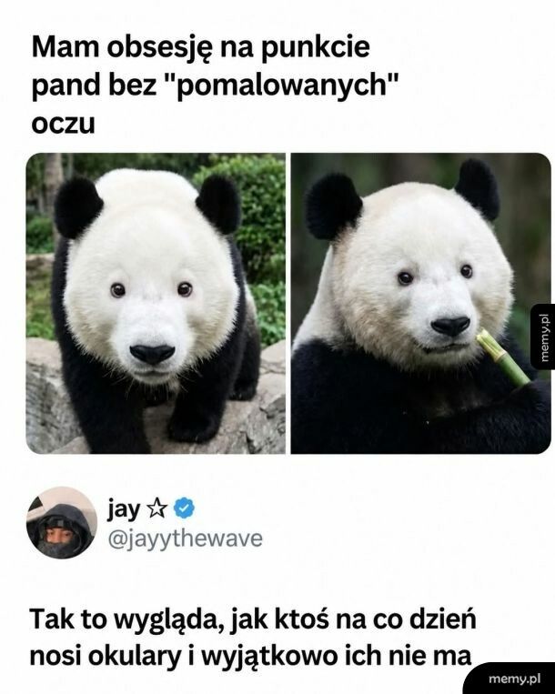 Kiedy ktoś zdejmie okulary