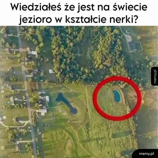 Wow!