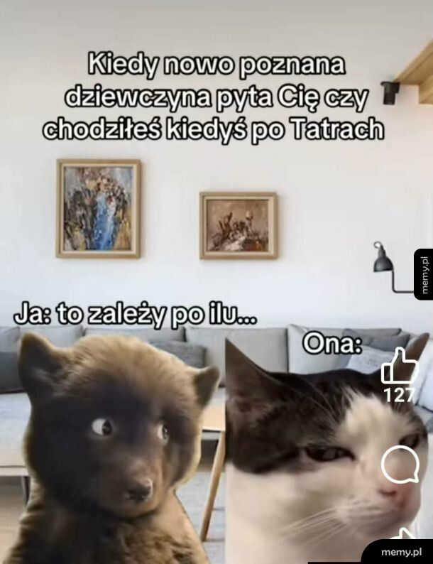 Pytanie