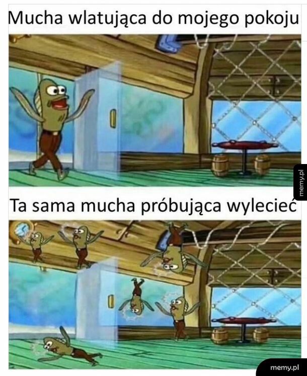 Pierońskie muchy