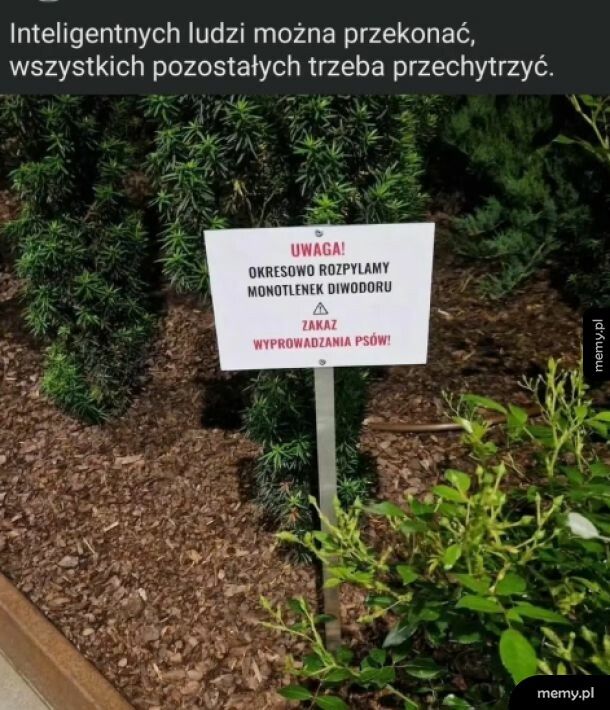 Ważne że działa