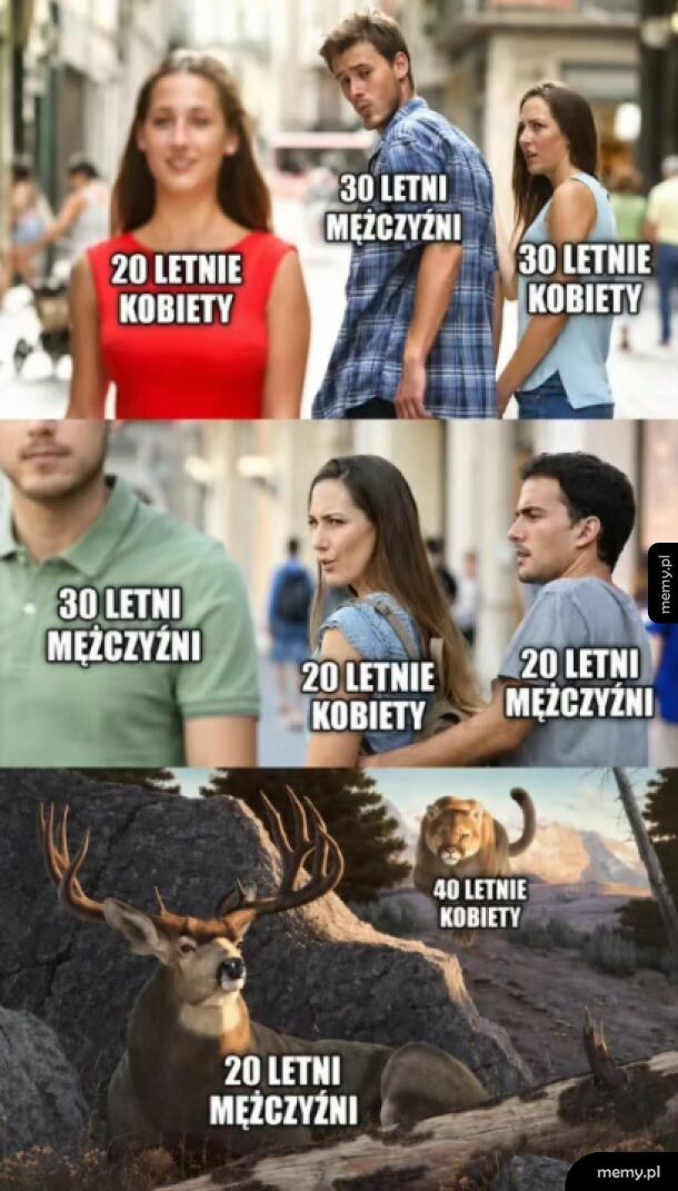 Łańcuch pokarmowy czy coś tam