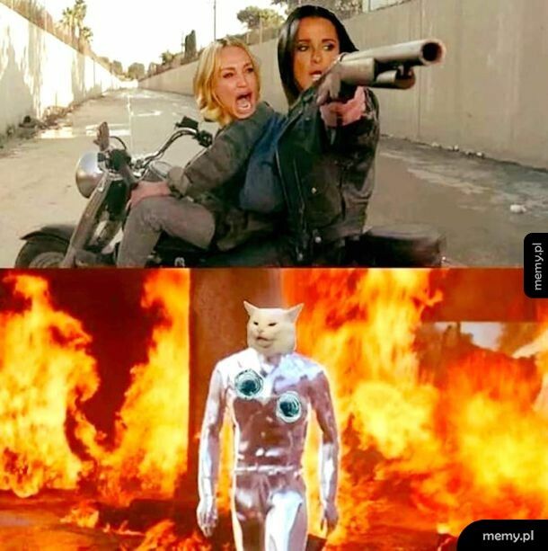 Kat 1000