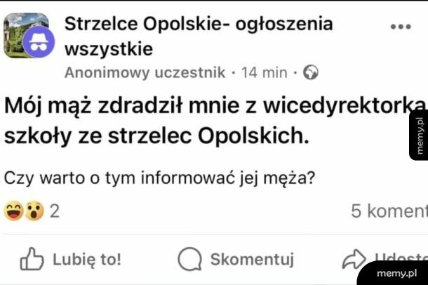 Myślę że nie warto