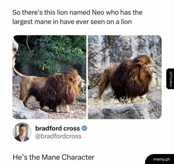 Mane character