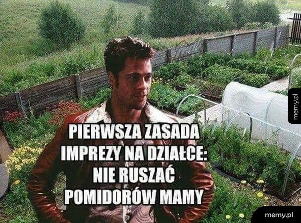 Pierwsza zasada
