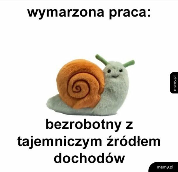 Aplikowałbym