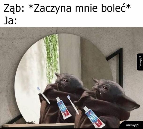 Ząb