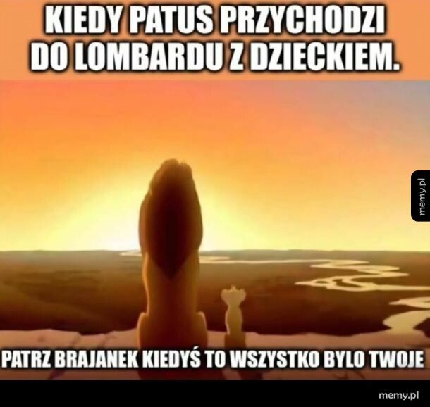 Scheda