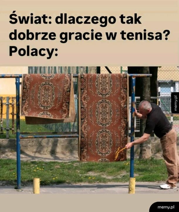 Tenis