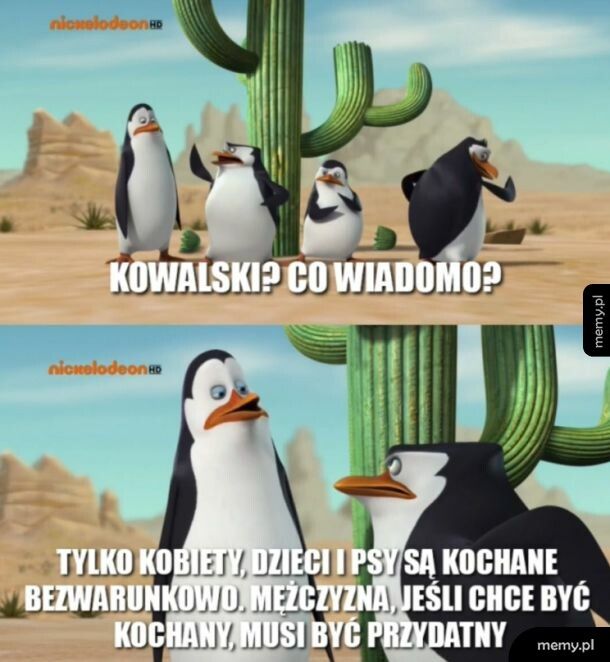 Co wiadomo