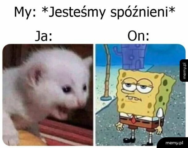 Mem: Rózne reakcje