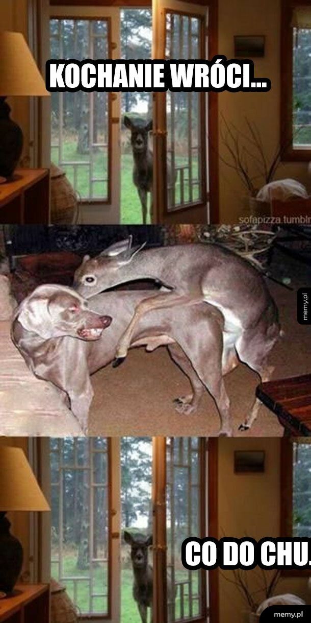 Mem: Co tu się