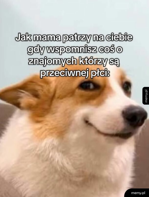 Mem: Zaraz będzie ślub