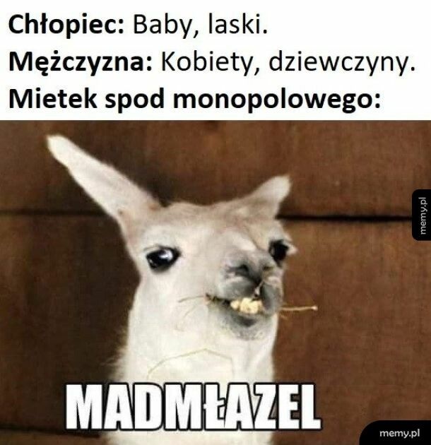 Mem: Mietek
