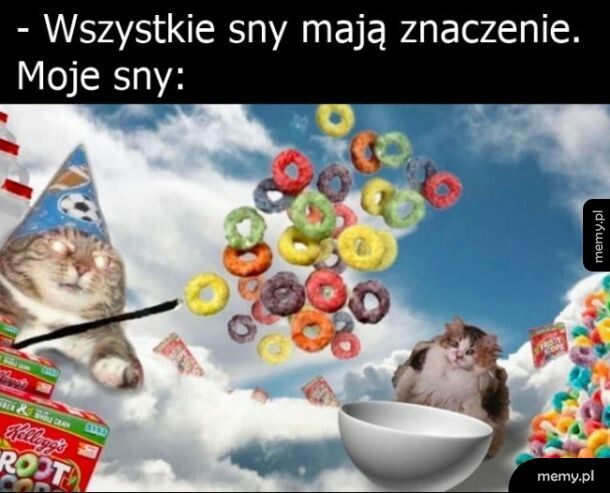 Mem: Sny