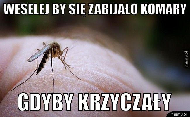 Weselej by się zabijało komary  Gdyby krzyczały 