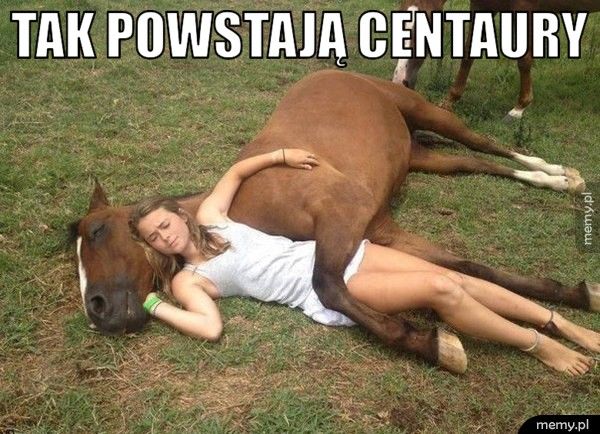 Tak powstają centaury 