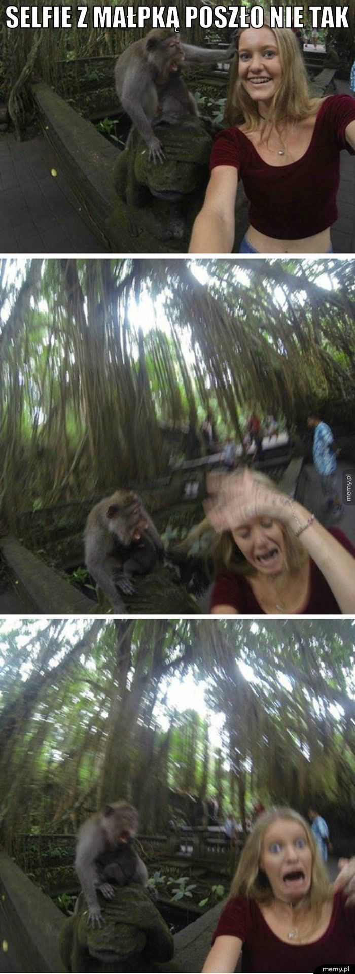 Selfie z małpką poszło nie tak  