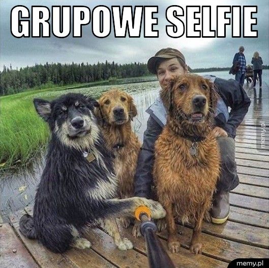 Grupowe selfie  