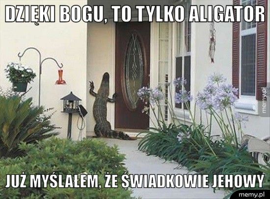 Dzięki bogu, to tylko aligator Już myślałem, że świadkowie jehowy